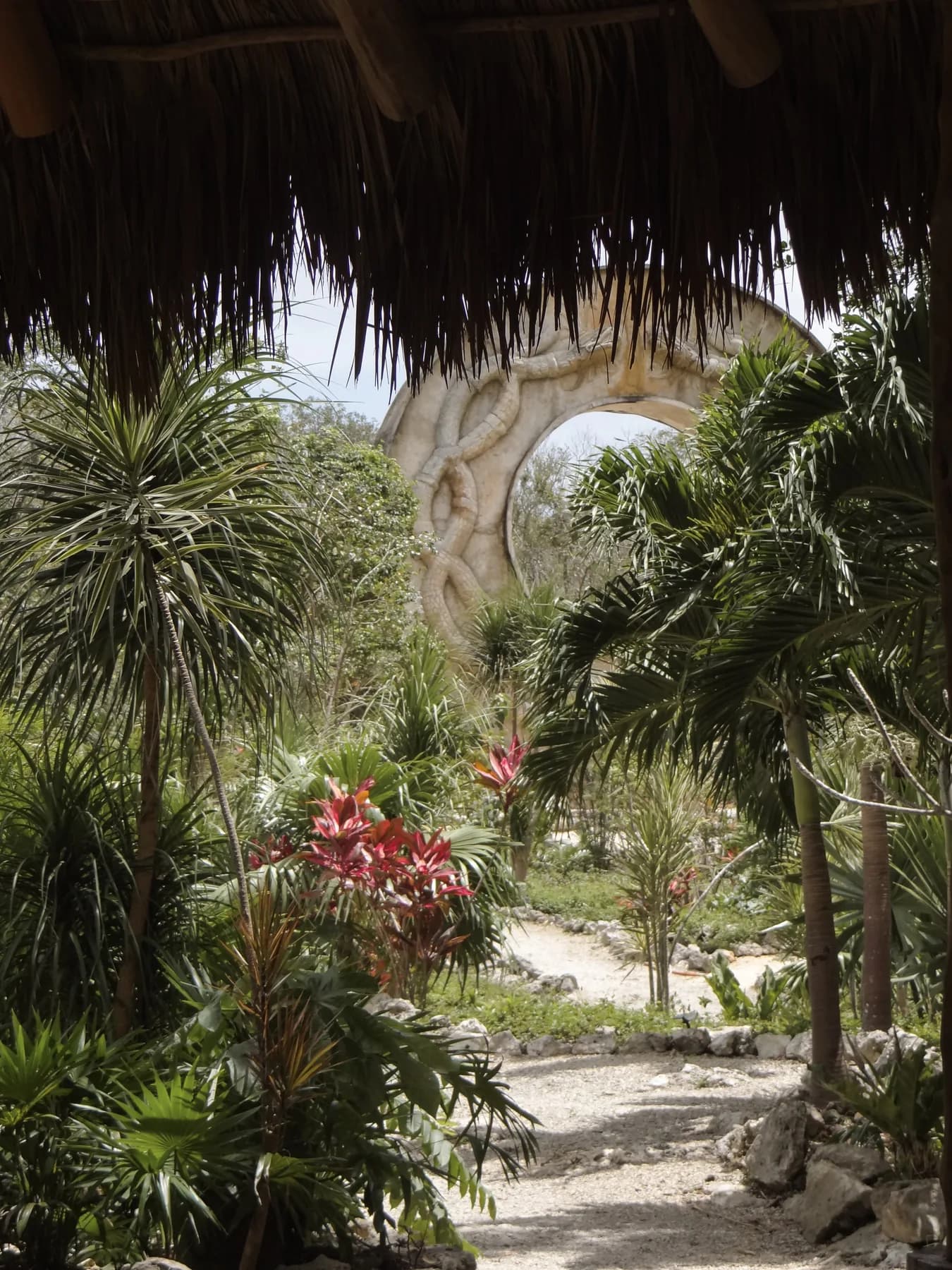 El Aro visto desde la palapa