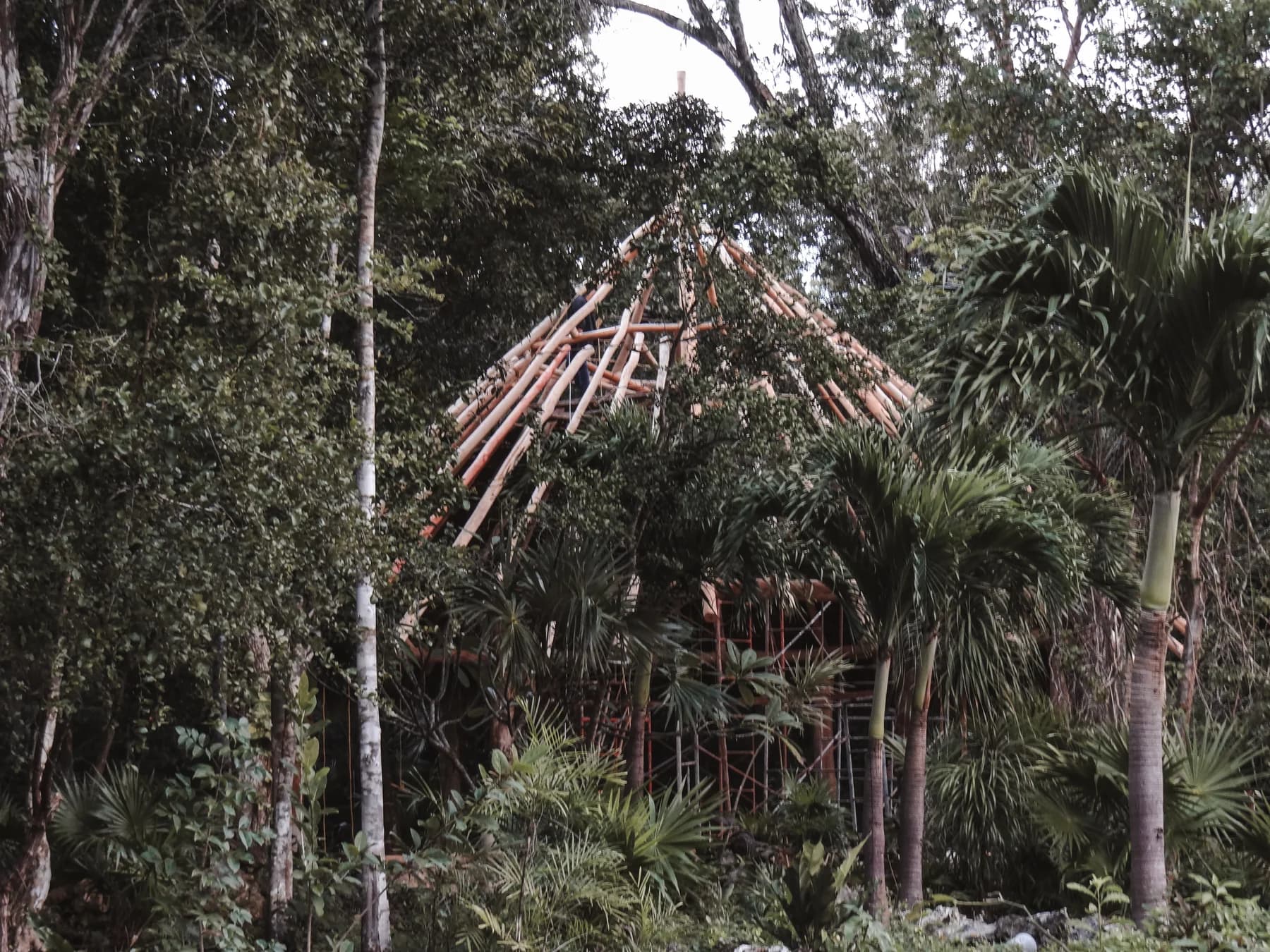 La obra, vista entre los árboles